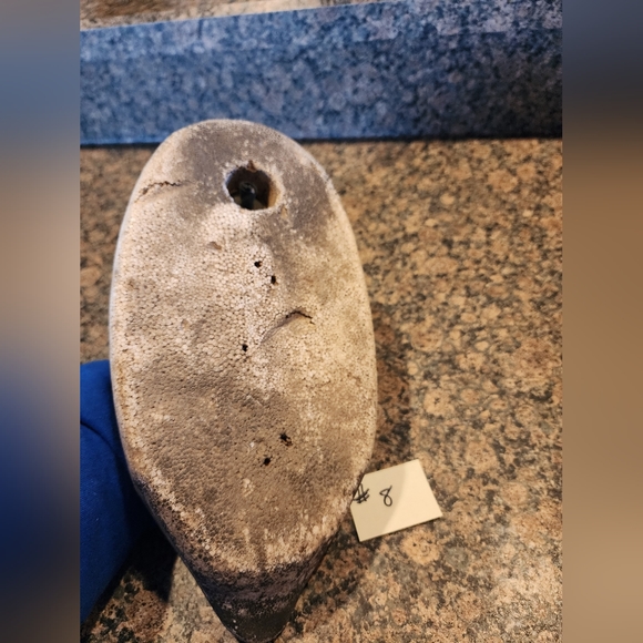 Vintage Styrofoam Canvasback Decoy - Picture 2 of 7